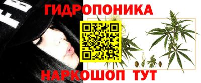 mix Гай